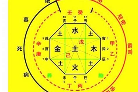 八字喜土|如何看出八字喜土 (如何判断八字喜什么五行)